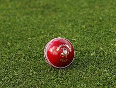 Image result for Cricket Live Video
