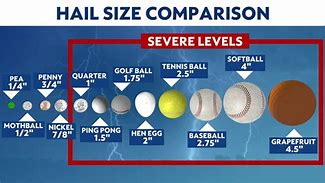 Image result for How Big Is 25Cm Diameter