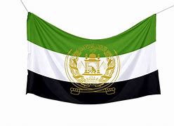 Image result for Iranian T-Shirt Flag