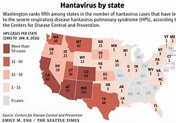 Image result for Virus in the State of Washington