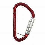 Image result for Auto Lock Carabiner