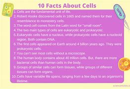 Image result for Did You Know Science Facts