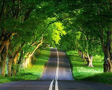 Image result for Best Nature Photos HD
