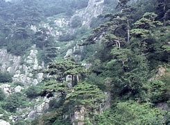 Image result for China Tai Shan Rivers