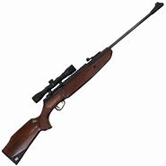 Image result for 177 Cal Air Rifles