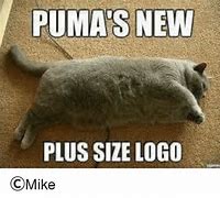 Image result for Fat Puma Logo