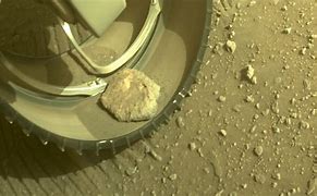 Image result for Perseverance Rover Pet Rock