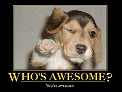 Image result for You're the Best Animal Meme