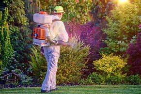 Image result for Pest Control Technician