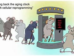 Image result for Cell Recovery Cartoon