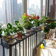 fioriere in ferro battuto per balconi fioriere da balcone vasi vasi e fioriere per il balcone fioriere in ferro battuto per balconi fioriere da balcone vasi vasi e fioriere per il balcone