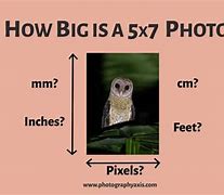 Image result for 5X7 Actual Size
