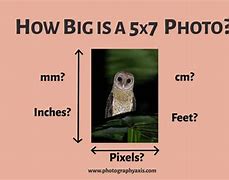 Image result for 5X7 Inch Size