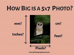 Image result for How Big Is 5X7 Photo Size