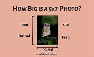 Image result for 5 X 7 in Cm Photo