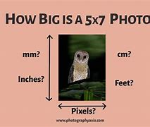 Image result for 5X7 Size