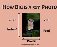 Image result for How Big 5X7