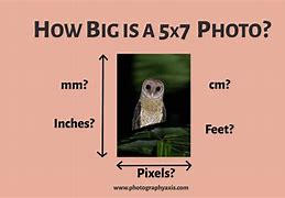 Image result for 5X7 Inch Photo