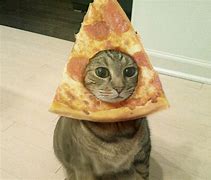 Image result for Cat Memes Waiting for My Pizza