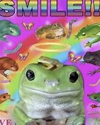 Image result for King Frog Meme