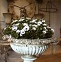 Image result for Famous Garden Statues
