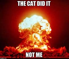 Image result for Shots Fired Cat Meme