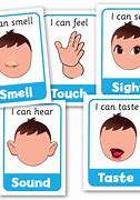 Image result for Five Senses Poster for Kids