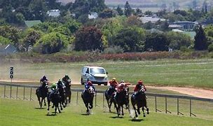 Image result for Durbanville Racecourse