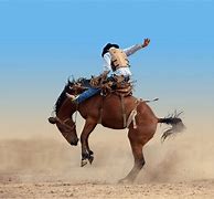 Image result for Rodeo Photos