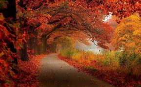 Image result for fall scenory