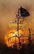 Image result for Nature Good Night Quotes