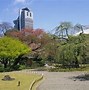 Image result for University of Tokyo Campus Tour