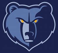 Image result for Grizzlies Basketball Team