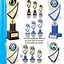 Image result for All Football Trophies