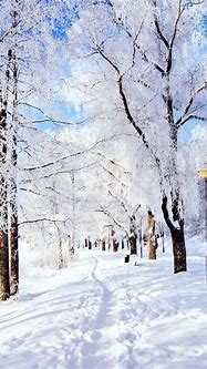 Image result for 8K Ultra HD Winter Wallpapers