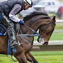 Image result for Daily Horse Racing Form