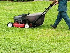 Image result for Lawn Care Business Names