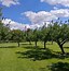 Image result for Apple Picking Farms Near Boone NC