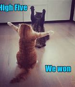 Image result for Victory Cat Meme