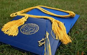 Image result for Doctoral or Professional Degree