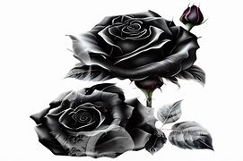 Image result for Gothic Black Roses Background