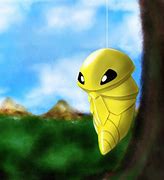 Image result for Anime Cocoon