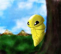 Image result for Cocoon Pokemon