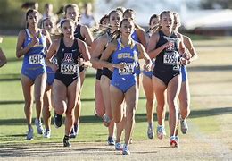 Image result for Cross Country Homecoming Signs