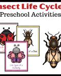 Image result for Insect Life Cycle