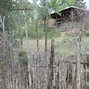 Image result for Coyote Fence Wall