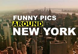 Image result for New York City Funny