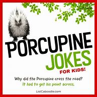 Image result for Porcupine Jokes