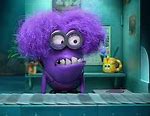 Image result for Dave the Purple Minion