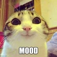 Image result for Mood Cat Meme Funny